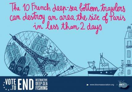 Pêche en eau profonde : le documentaire qui montre comment les lobbies ont gagné