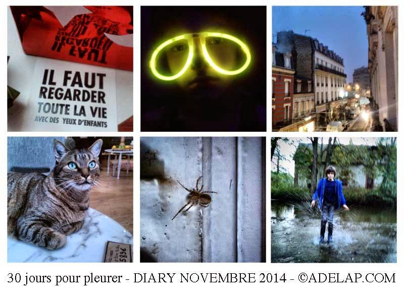 Diary :: 30 jours pour pleurer novembre 2014