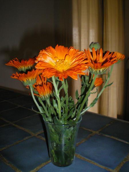 Petits Enfants, Petits Soucis...