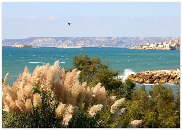 Ma Terre est si belle