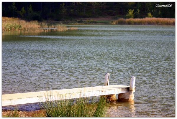 Ma Terre est si belle