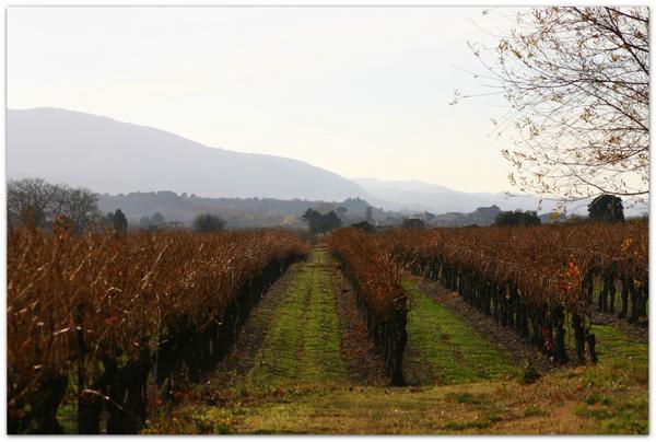 Ma Terre est si belle