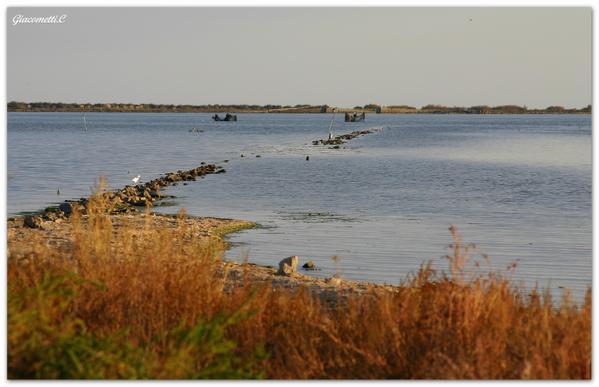 Ma Terre est si belle