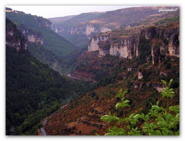 Ma Terre est si belle