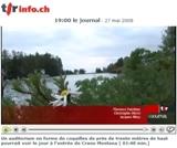 Coquilles d'Or seront Crans-Montana Cervin Zermatt