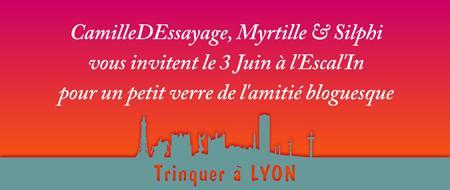 apero6 ApéroBlog Lyonnais N°6