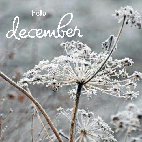 {Lifestyle} Mes p’tits bonheurs