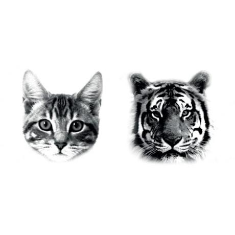 tatouages-cat-tiger-dcer