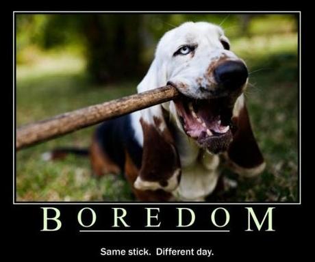 boredom - ennui