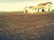 Francigena Sud. Étape travers plaine...