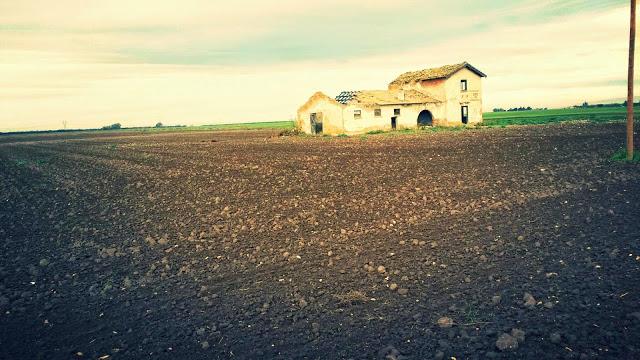 Via Francigena nel Sud.  Étape 11 . A travers plaine...