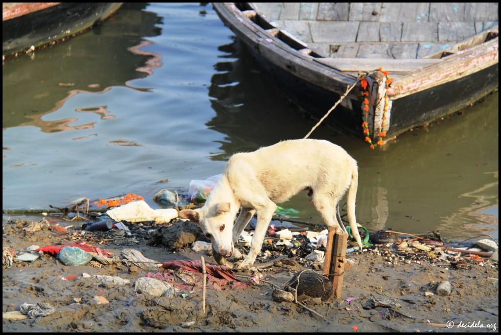 Varanasi