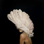 ART : Les peintures d’Amy Judd