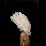 ART : Les peintures d’Amy Judd