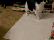 Comment emballer chat pour Noël