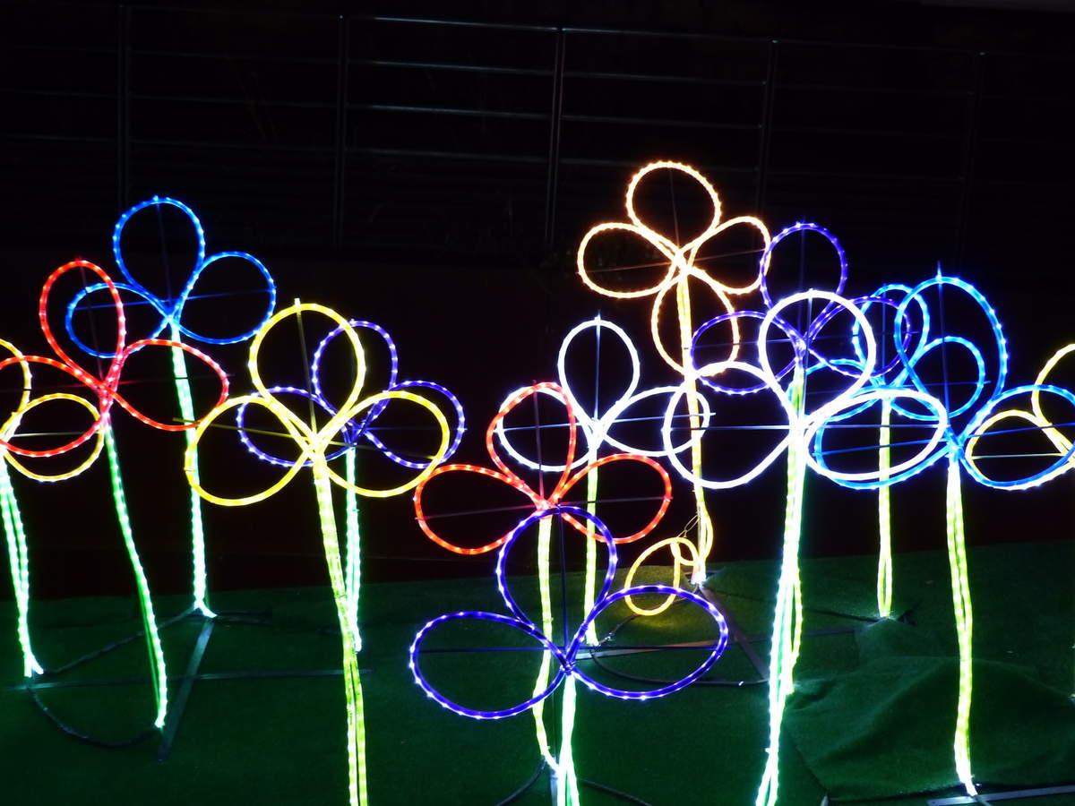 fête des lumières à Lyon (6,7,8 décembre 2014) au hasard des promenades....