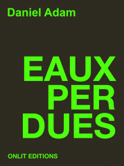 eaux perdues,daniel adam,editions onlit books,critique,carnet de lecture,livre,littérature,blog littéraire,rentrée littéraire 2014,numérique,ebook,grossesse,naissance,paternité,père,parent,avenir,projet,travail,déménagement