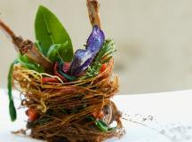 Italy Trentino Alto Adige