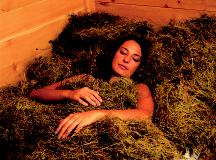 02 hay bath