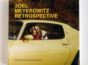 Joel meyerowitz retrospective
