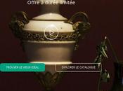 Adoptez vieux pour passer fêtes bonne compagnie