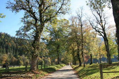 IMG_3772_redimensionner1