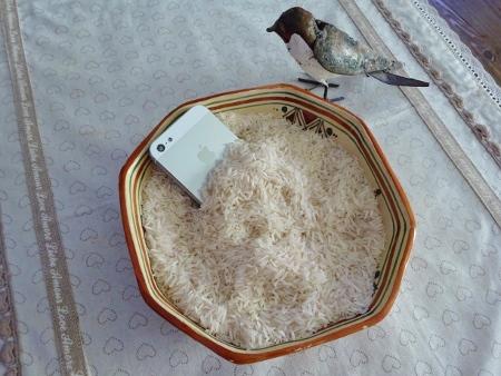 Natel riz