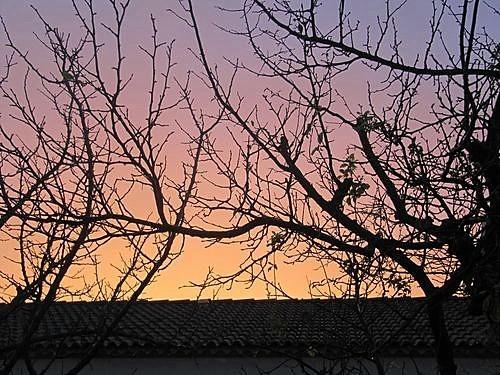 et pour terminer un coucher de soleil que j'ai pu prendre juste à temps