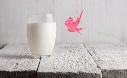 hirondellina milk
