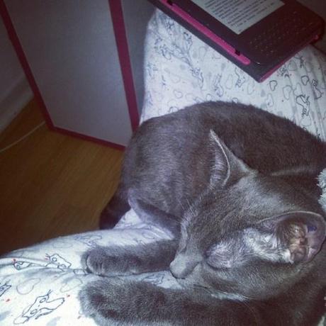 Les petits bonheurs de décembre ! #14 cocooning_09