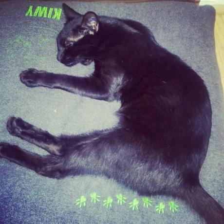 Les petits bonheurs de décembre ! #14 cocooning_06