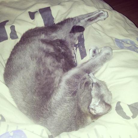 Les petits bonheurs de décembre ! #14 cocooning_08