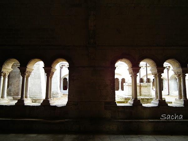 Guernsey gâche + balade à l'abbaye de Montmajour en Arles en été ou en hiver :)