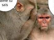 règle N°4- dragueur doit être lourd