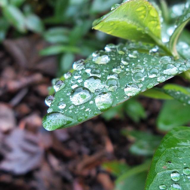 {Lifestyle} Mes p’tits bonheurs