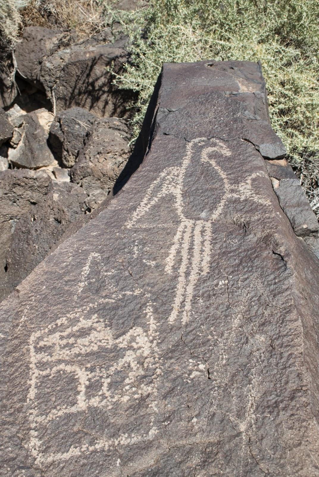 Albuquerque et ses pétroglyphes