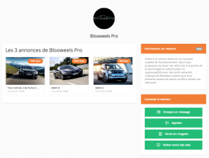 Capture d’écran 2014-12-16 à 11.52.29 AM Interview de Vincent Gombault, président de Blooweels