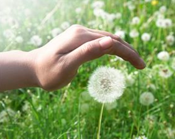 Sans lui je ne sais pas comment j'aurais fait.