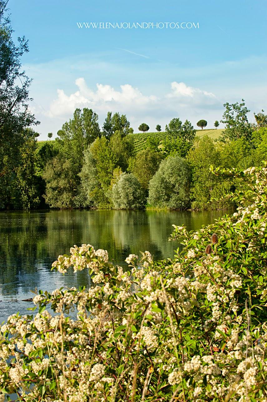 Entreprise: Château de Ribonnet (Beaumont sur Leze)