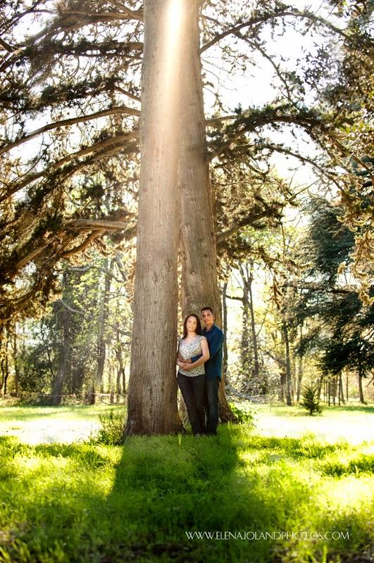Seance Engagement de Emilie & Julien. Lagardelle sur Leze.