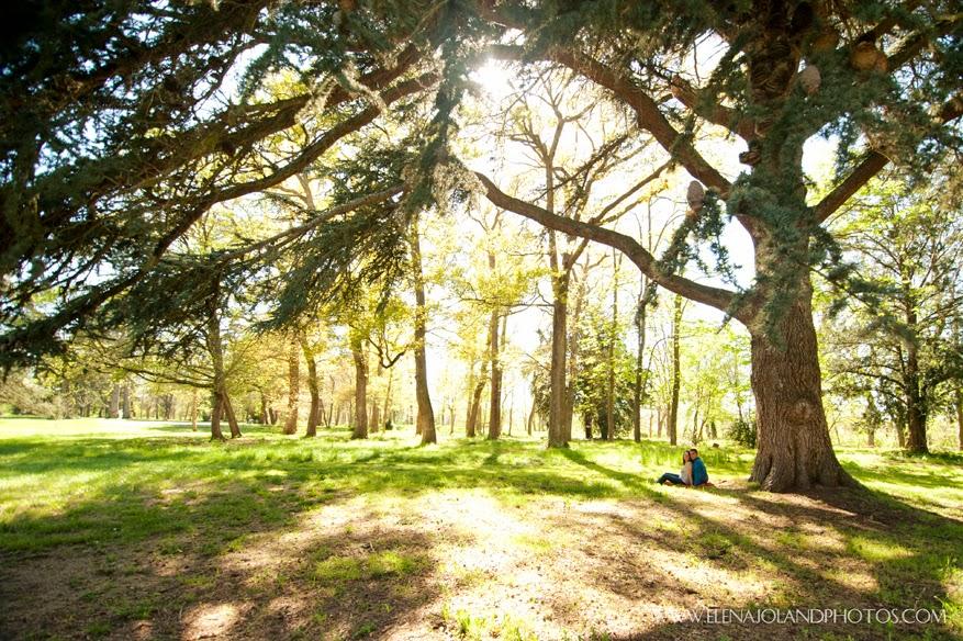 Seance Engagement de Emilie & Julien. Lagardelle sur Leze.
