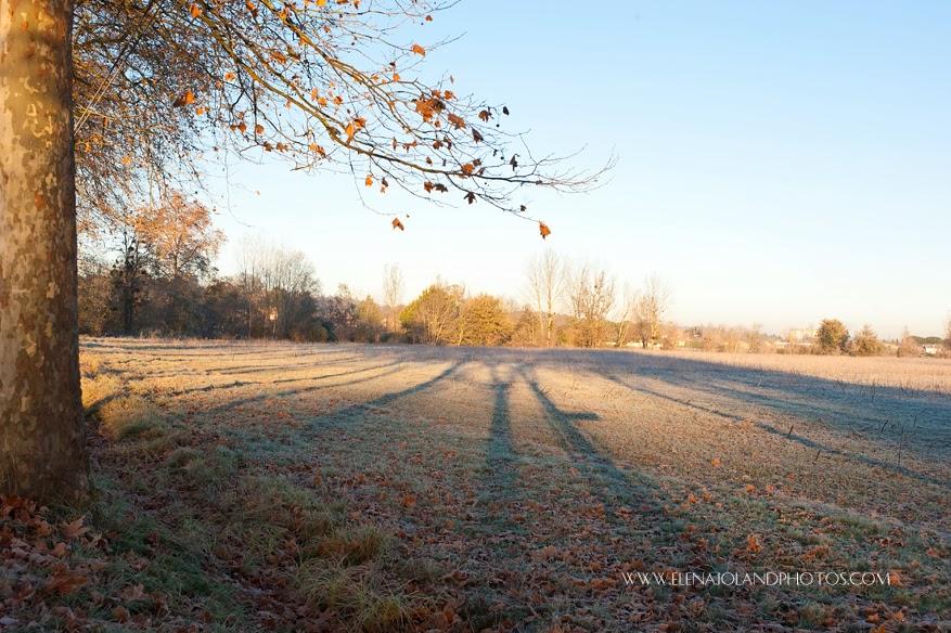 Hiver en Ariège. Lézat sur Leze.