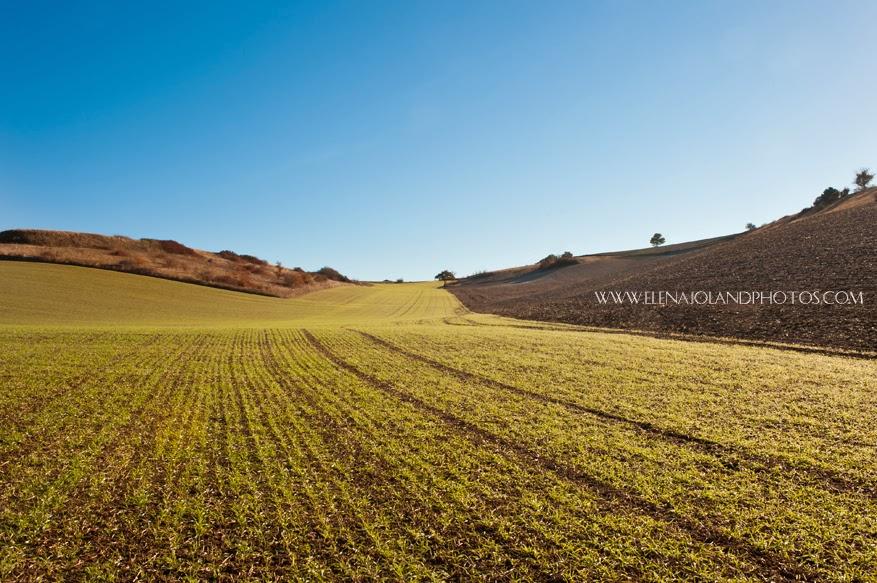 Hiver en Ariège. Lézat sur Leze.