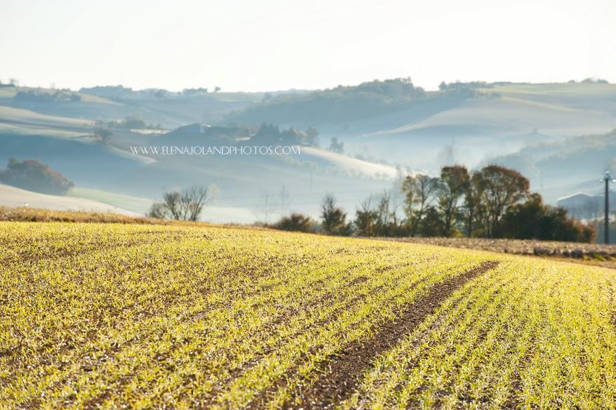Hiver en Ariège. Lézat sur Leze.