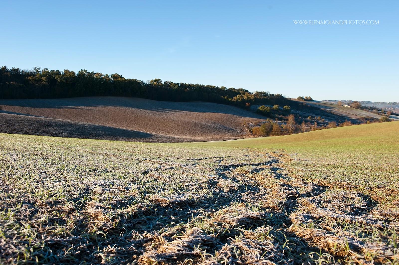Hiver en Ariège. Lézat sur Leze.