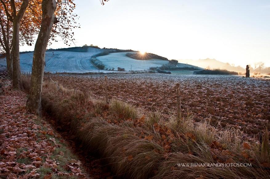 Hiver en Ariège. Lézat sur Leze.