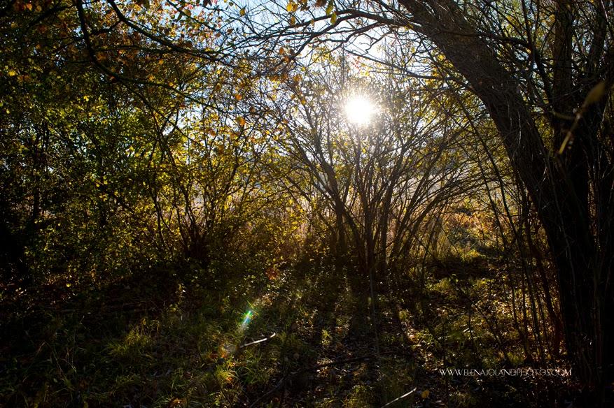 Hiver en Ariège. Lézat sur Leze.