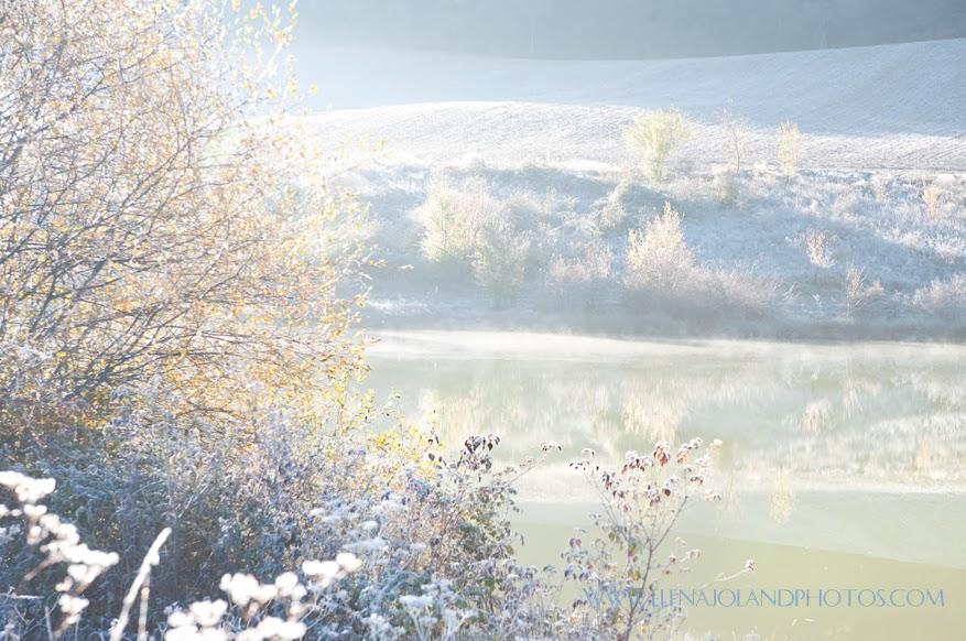Hiver en Ariège. Lézat sur Leze.