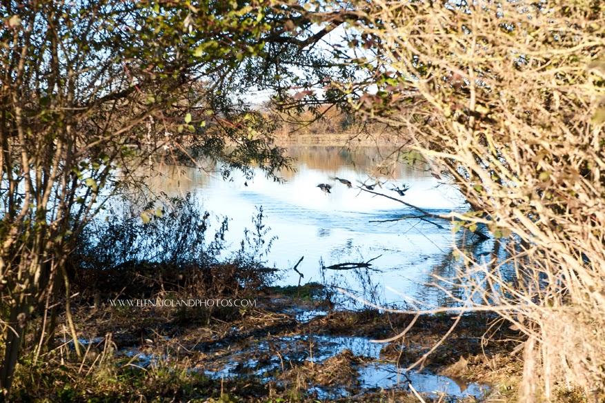 Hiver en Ariège. Lézat sur Leze.