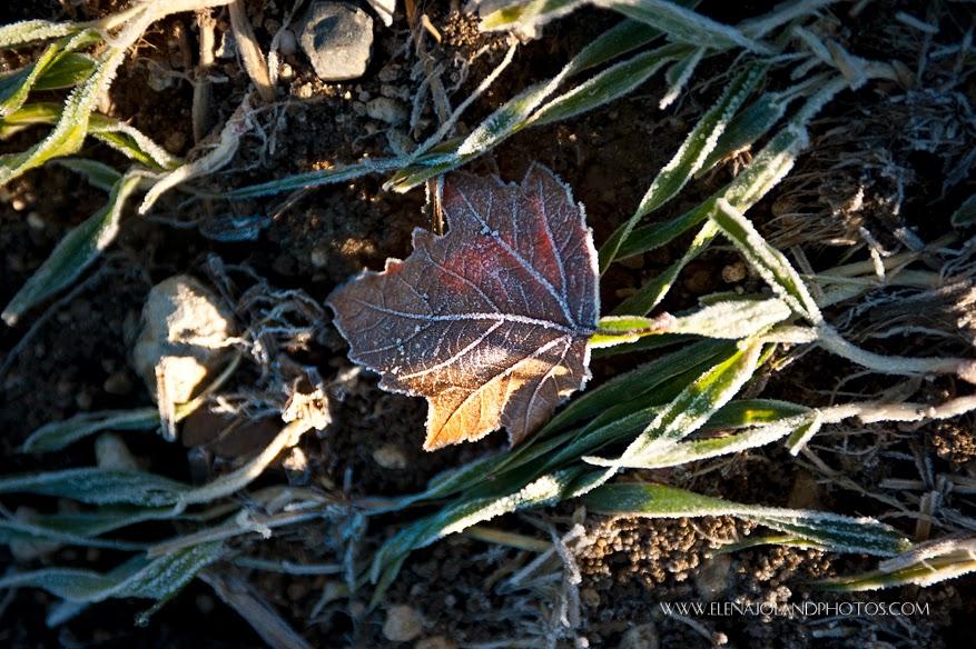 Hiver en Ariège. Lézat sur Leze.